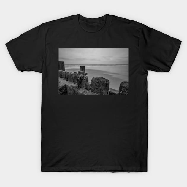 Close up of wooden sea defences protecting against coastal erosion T-Shirt by yackers1